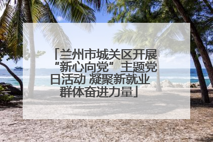 兰州市城关区开展“新心向党”主题党日活动 凝聚新就业群体奋进力量