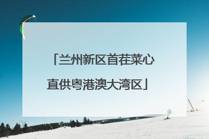 兰州新区首茬菜心直供粤港澳大湾区