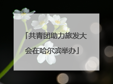 共青团助力旅发大会在哈尔滨举办