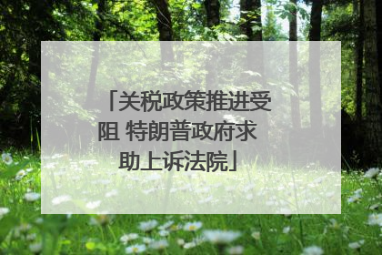 关税政策推进受阻 特朗普政府求助上诉法院