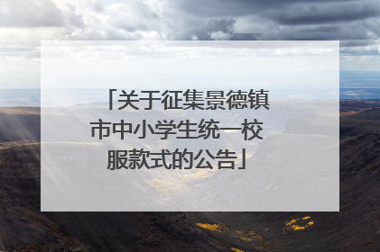 关于征集景德镇市中小学生统一校服款式的公告