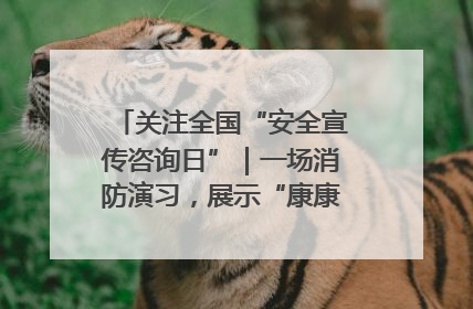 关注全国“安全宣传咨询日”｜一场消防演习，展示“康康”应急实力