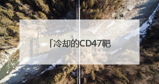 冷却的CD47靶点：黄金矿，还是沼泽地？｜海斌访谈