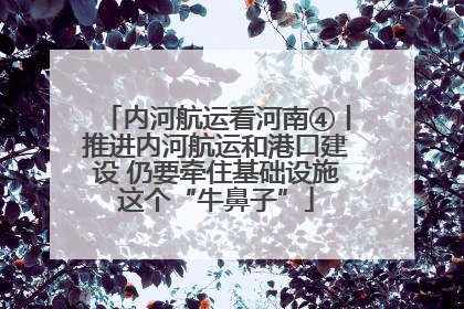 内河航运看河南④丨推进内河航运和港口建设 仍要牵住基础设施这个“牛鼻子”