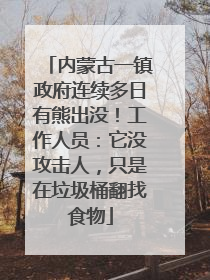内蒙古一镇政府连续多日有熊出没！工作人员：它没攻击人，只是在垃圾桶翻找食物