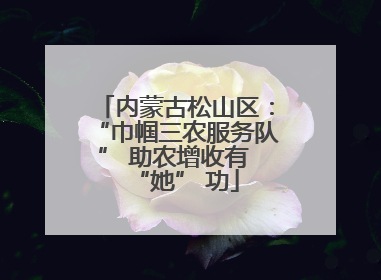 内蒙古松山区：“巾帼三农服务队” 助农增收有 “她” 功