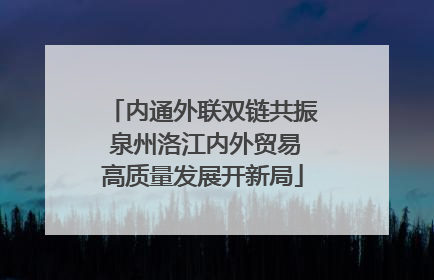 内通外联双链共振 泉州洛江内外贸易高质量发展开新局