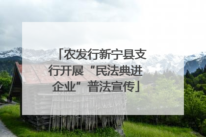 农发行新宁县支行开展“民法典进企业”普法宣传
