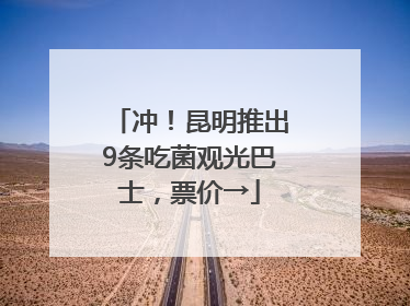 冲！昆明推出9条吃菌观光巴士，票价→
