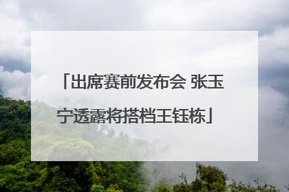 出席赛前发布会 张玉宁透露将搭档王钰栋