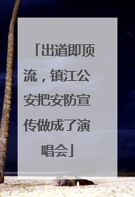 出道即顶流，镇江公安把安防宣传做成了演唱会