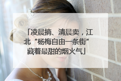 凌晨摘、清晨卖，江北“杨梅自由一条街”藏着最甜的烟火气