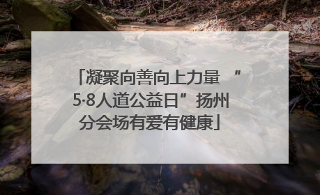凝聚向善向上力量 “5·8人道公益日”扬州分会场有爱有健康