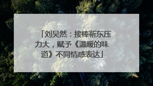 刘昊然：接棒靳东压力大，赋予《温暖的味道》不同情感表达