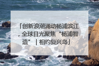 创新浪潮涌动杨浦滨江，全球目光聚焦“杨浦智造”｜相约复兴岛