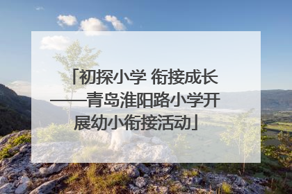 初探小学 衔接成长——青岛淮阳路小学开展幼小衔接活动