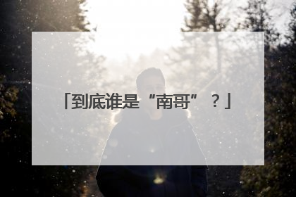 到底谁是“南哥”？