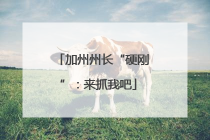加州州长“硬刚”：来抓我吧