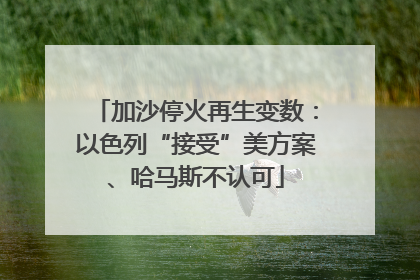加沙停火再生变数：以色列“接受”美方案、哈马斯不认可