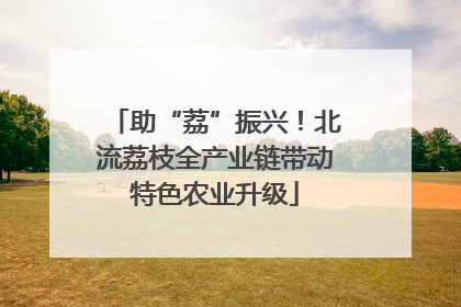 助“荔”振兴！北流荔枝全产业链带动特色农业升级