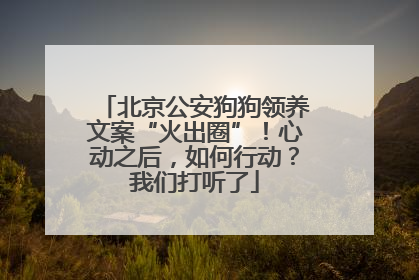 北京公安狗狗领养文案“火出圈”！心动之后，如何行动？我们打听了