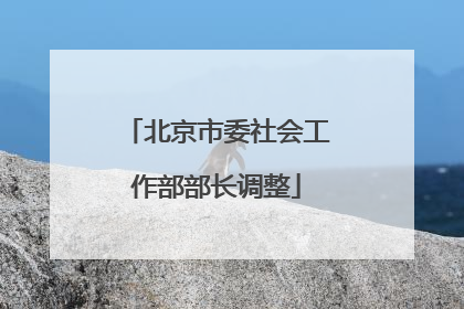北京市委社会工作部部长调整