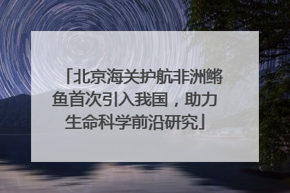 北京海关护航非洲鳉鱼首次引入我国，助力生命科学前沿研究