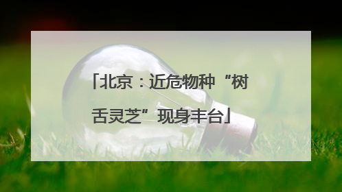 北京:近危物种“树舌灵芝”现身丰台