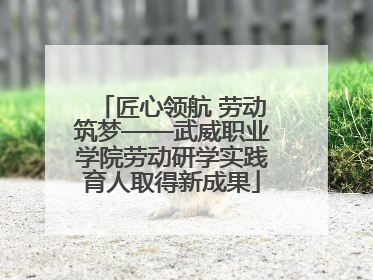 匠心领航 劳动筑梦——武威职业学院劳动研学实践育人取得新成果