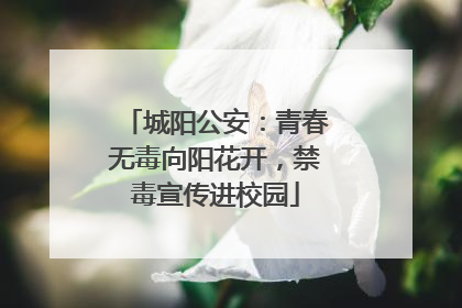 城阳公安：青春无毒向阳花开，禁毒宣传进校园