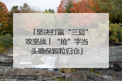 坚决打赢“三夏”攻坚战丨“抢”字当头确保颗粒归仓