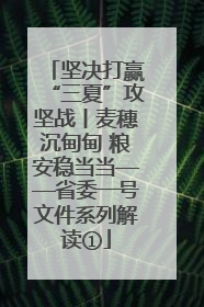 坚决打赢“三夏”攻坚战丨麦穗沉甸甸 粮安稳当当——省委一号文件系列解读①