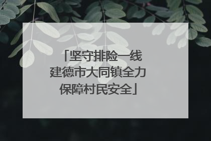 坚守排险一线 建德市大同镇全力保障村民安全