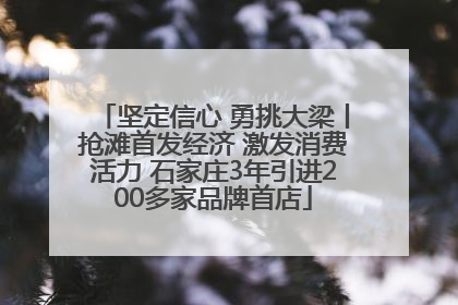 坚定信心 勇挑大梁丨抢滩首发经济 激发消费活力 石家庄3年引进200多家品牌首店