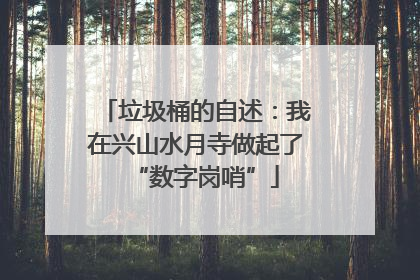 垃圾桶的自述：我在兴山水月寺做起了“数字岗哨”