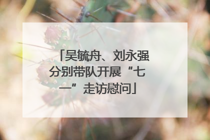 吴毓舟、刘永强分别带队开展“七一”走访慰问