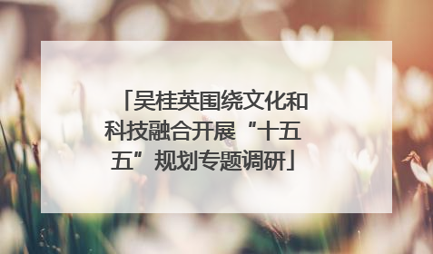 吴桂英围绕文化和科技融合开展“十五五”规划专题调研