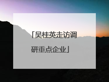 吴桂英走访调研重点企业