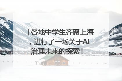 各地中学生齐聚上海，进行了一场关于AI治理未来的探索