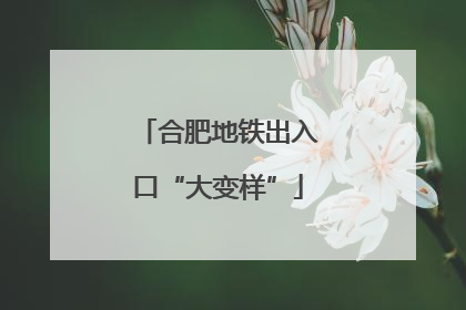 合肥地铁出入口“大变样”