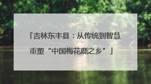 吉林东丰县：从传统到智慧重塑“中国梅花鹿之乡”