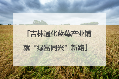 吉林通化蓝莓产业铺就“绿富同兴”新路