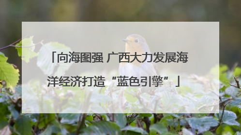向海图强 广西大力发展海洋经济打造“蓝色引擎”