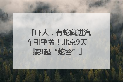 吓人，有蛇藏进汽车引擎盖！北京9天接9起“蛇警”