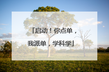 启动！你点单，我派单，学科学