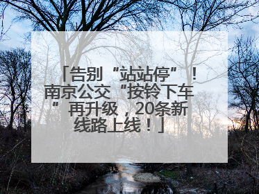 告别“站站停”！南京公交“按铃下车”再升级，20条新线路上线！