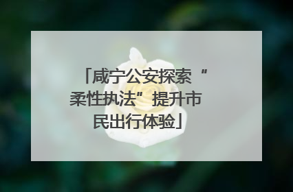 咸宁公安探索“柔性执法”提升市民出行体验