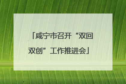 咸宁市召开“双回双创”工作推进会
