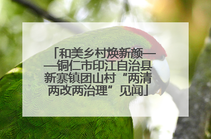 和美乡村焕新颜——铜仁市印江自治县新寨镇团山村“两清两改两治理”见闻