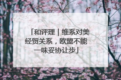和评理｜维系对美经贸关系，欧盟不能一味妥协让步